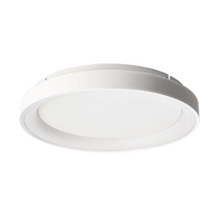 Deko-Light, Deckenaufbauleuchte, Merope 400 mm, 30 W, DIM, 3000/4000 K, Weiß, 2100 lm, Eingangsspannung: 220-240 V/AC, Aluminium, Matt, IP 20