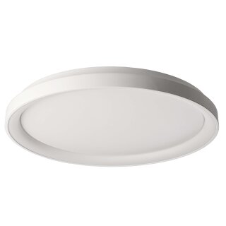 Deko-Light, Deckenaufbauleuchte, Merope 600 mm, 42 W, DIM, 3000/4000 K, Weiß, 3100 lm, Eingangsspannung: 220-240 V/AC, Aluminium, Matt, IP 20